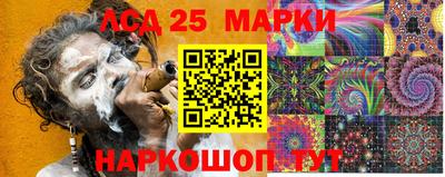 гидропоника Славгород