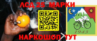 гидропоника Славгород
