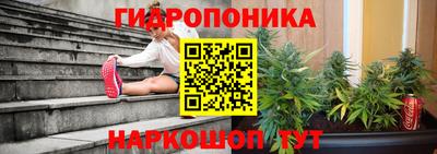 гидропоника Славгород