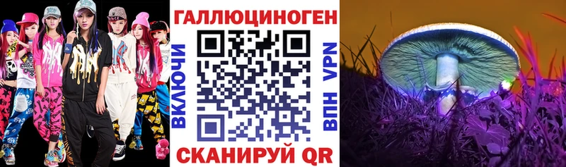 Псилоцибиновые грибы мухоморы  ОМГ ОМГ как войти  Осинники 